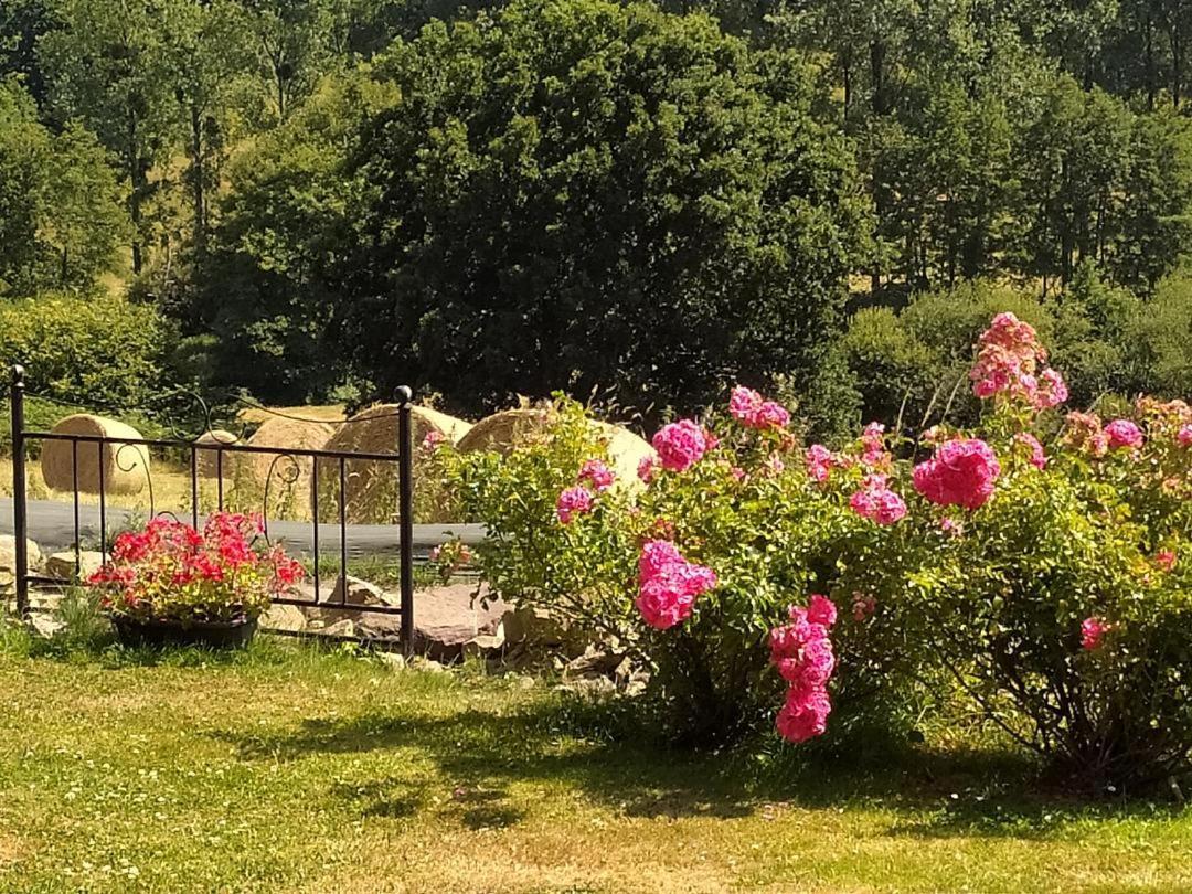Montpinchon Chambres D'Hotes La Clef Des Champs المظهر الخارجي الصورة